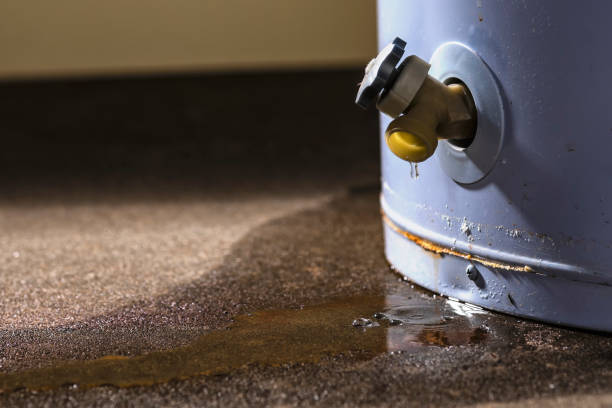 Best 24/7 water damage repair  in Palermo, NJ