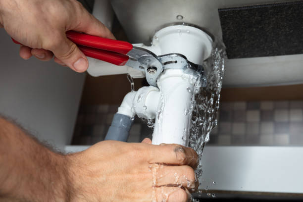 Best Water damage contractors near me  in Palermo, NJ