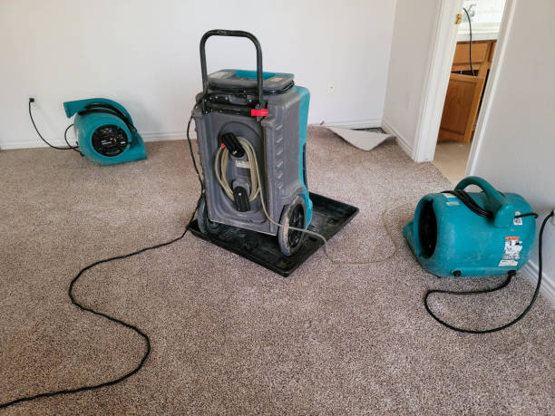Professional Water damage restoration in Palermo, NJ