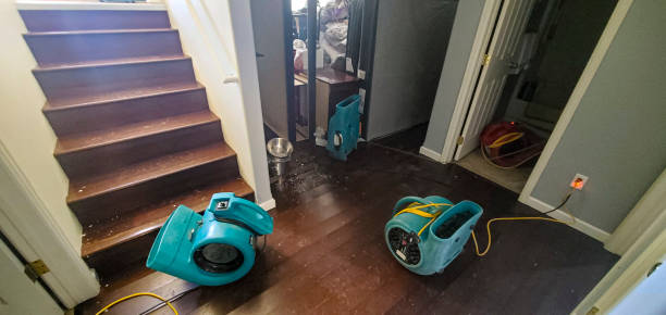 Best Residential water damage restoration  in Palermo, NJ