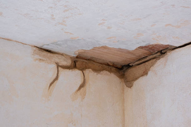 Best Professional water damage repair  in Palermo, NJ