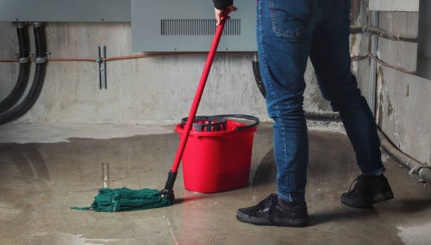 Best Flood restoration services  in Palermo, NJ