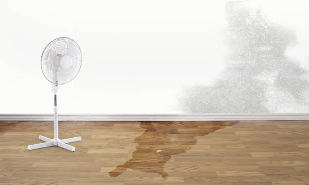 Best Water damage repair service  in Palermo, NJ