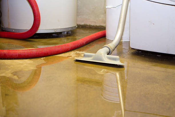 Best Water damage restoration specialists  in Palermo, NJ