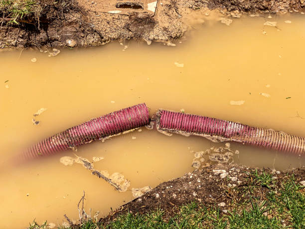 Best Local water damage restoration  in Palermo, NJ